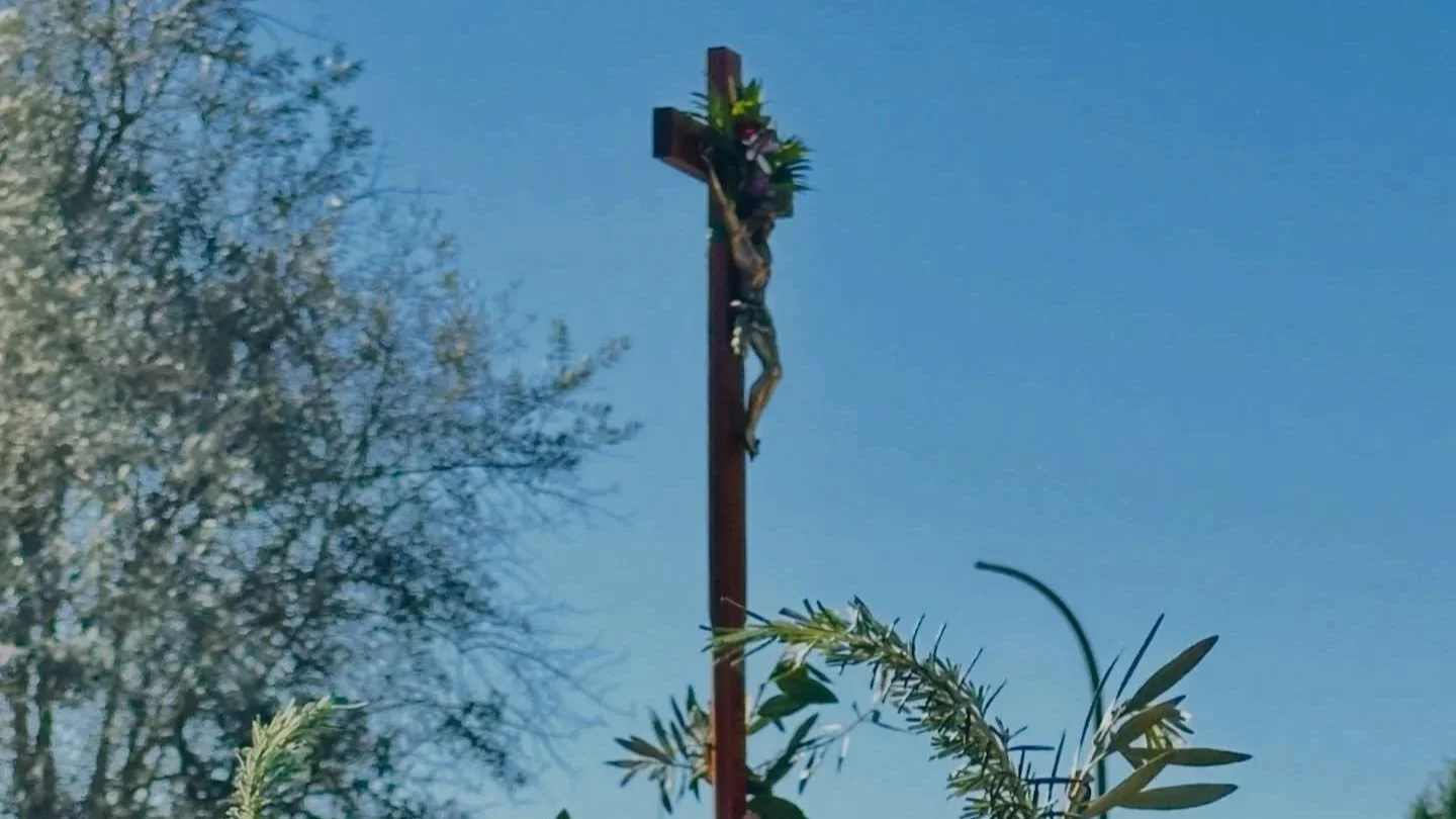 Domingo de Ramos assinala início da Semana Santa