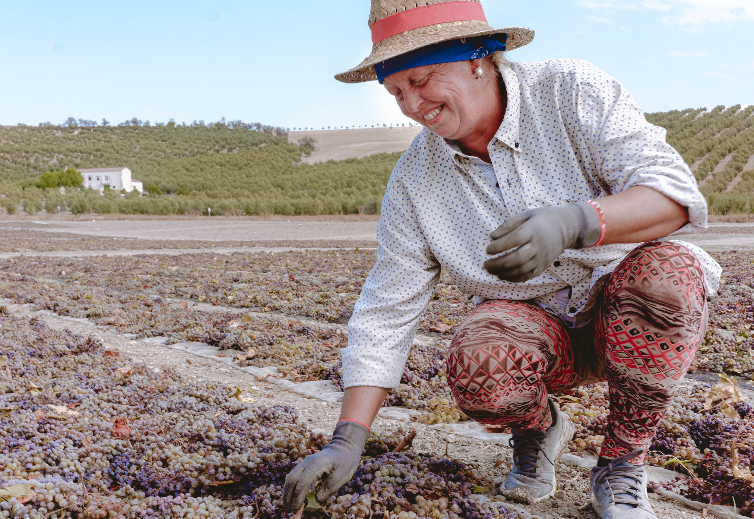 montesoro-la-pasera-sherry-wine-bulk.jpg