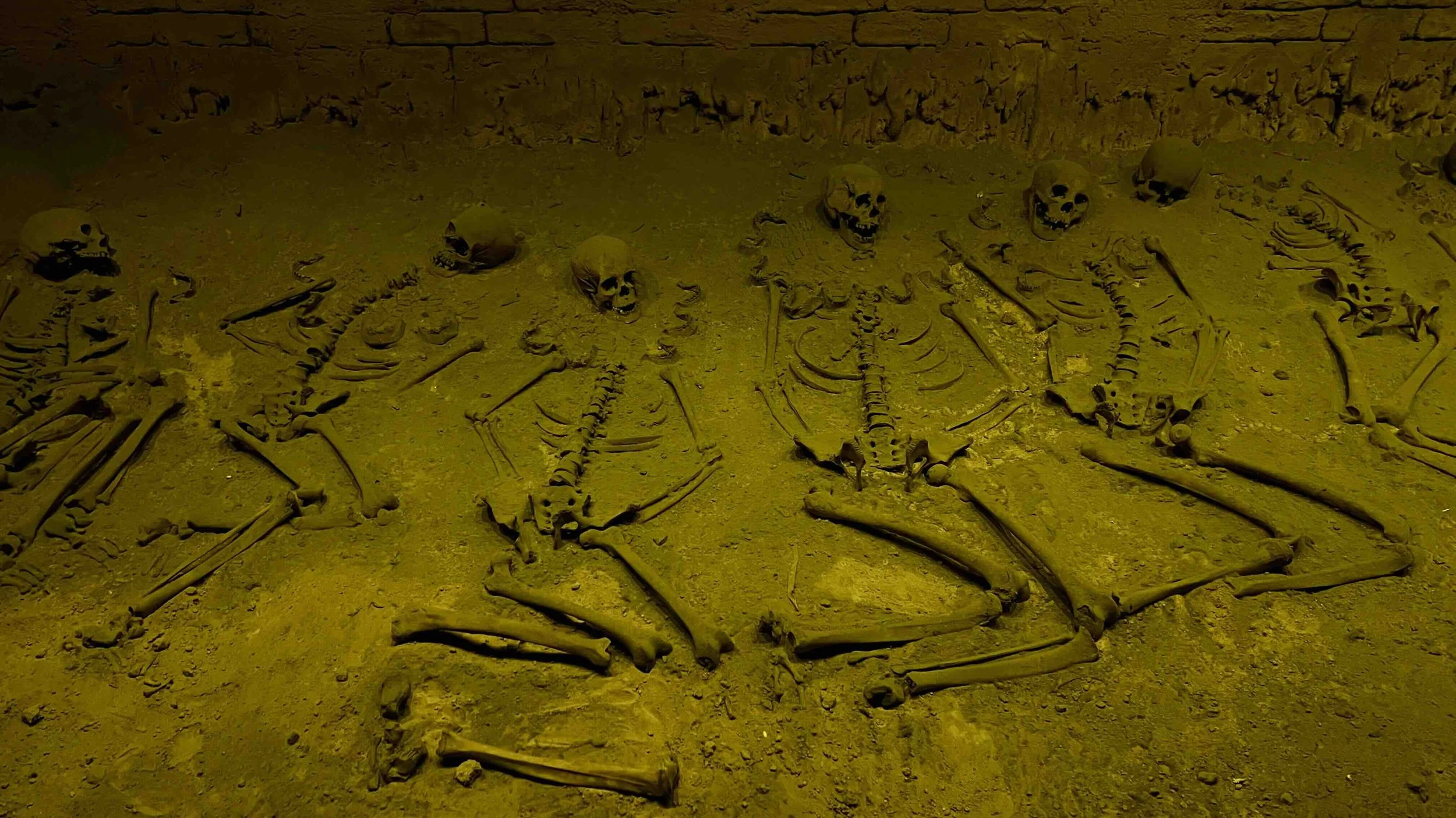 INN &amp; OUT: MEXICO CITY, MEXICO