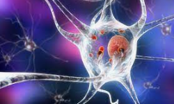 Screen Shot 2022-10-21 at 10.30.04 PM.png