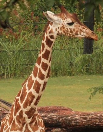 Screen Shot 2022-10-21 at 9.57.49 PM.png