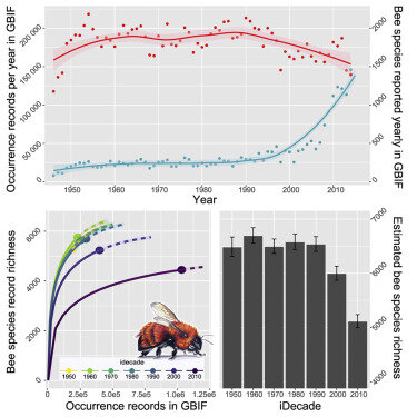 Global Population Decrease.jpg