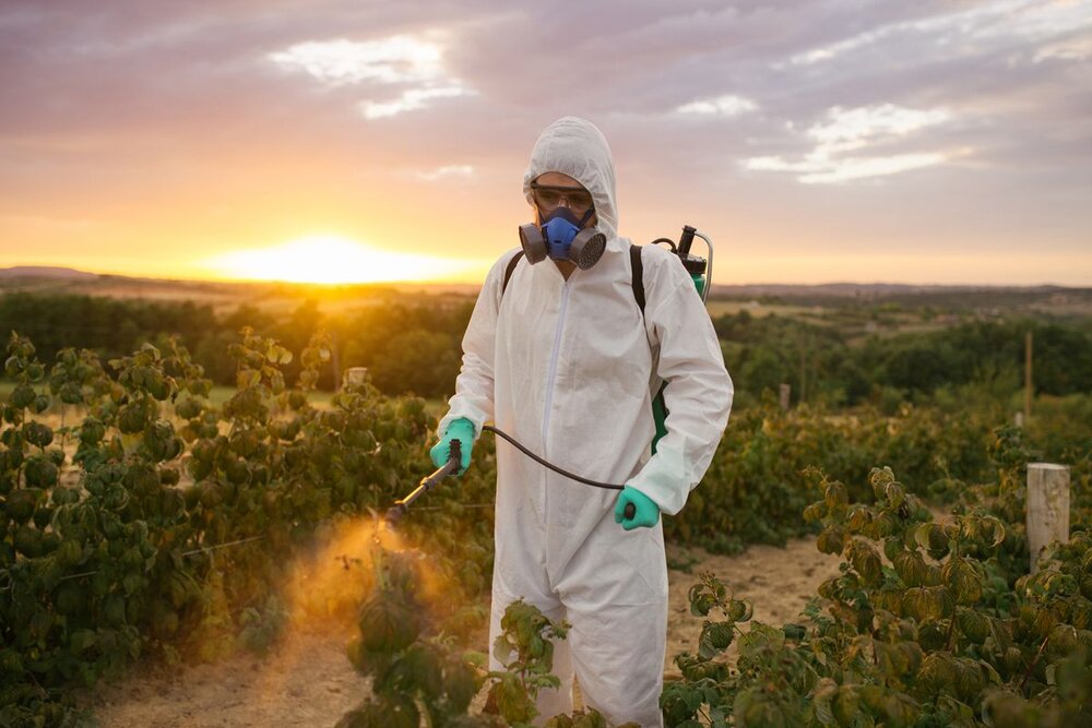 pesticide-spraying-in-the-UK.jpg