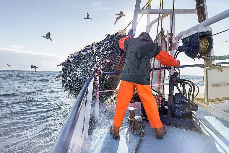 overfishing-main.jpg