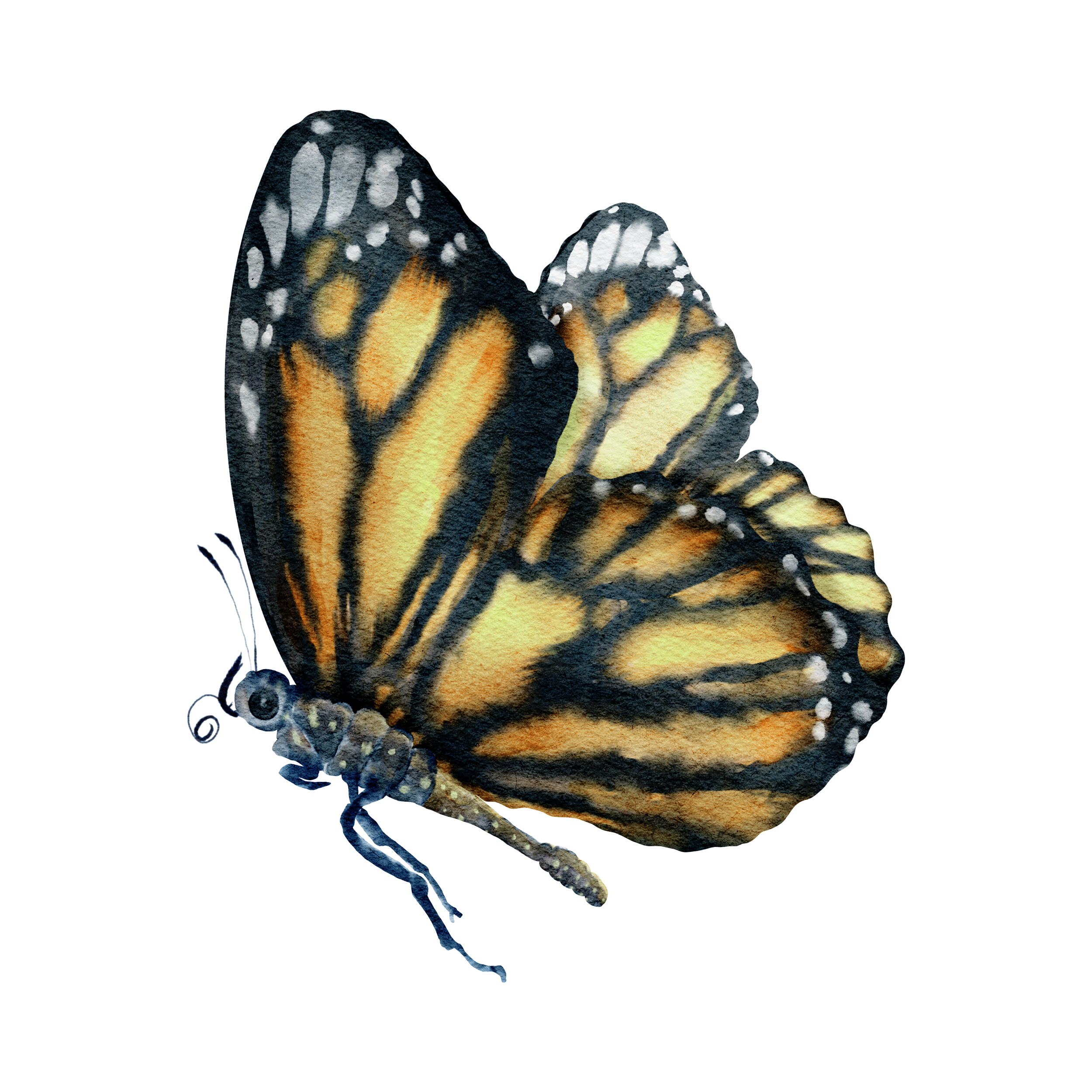 emotional healing practices