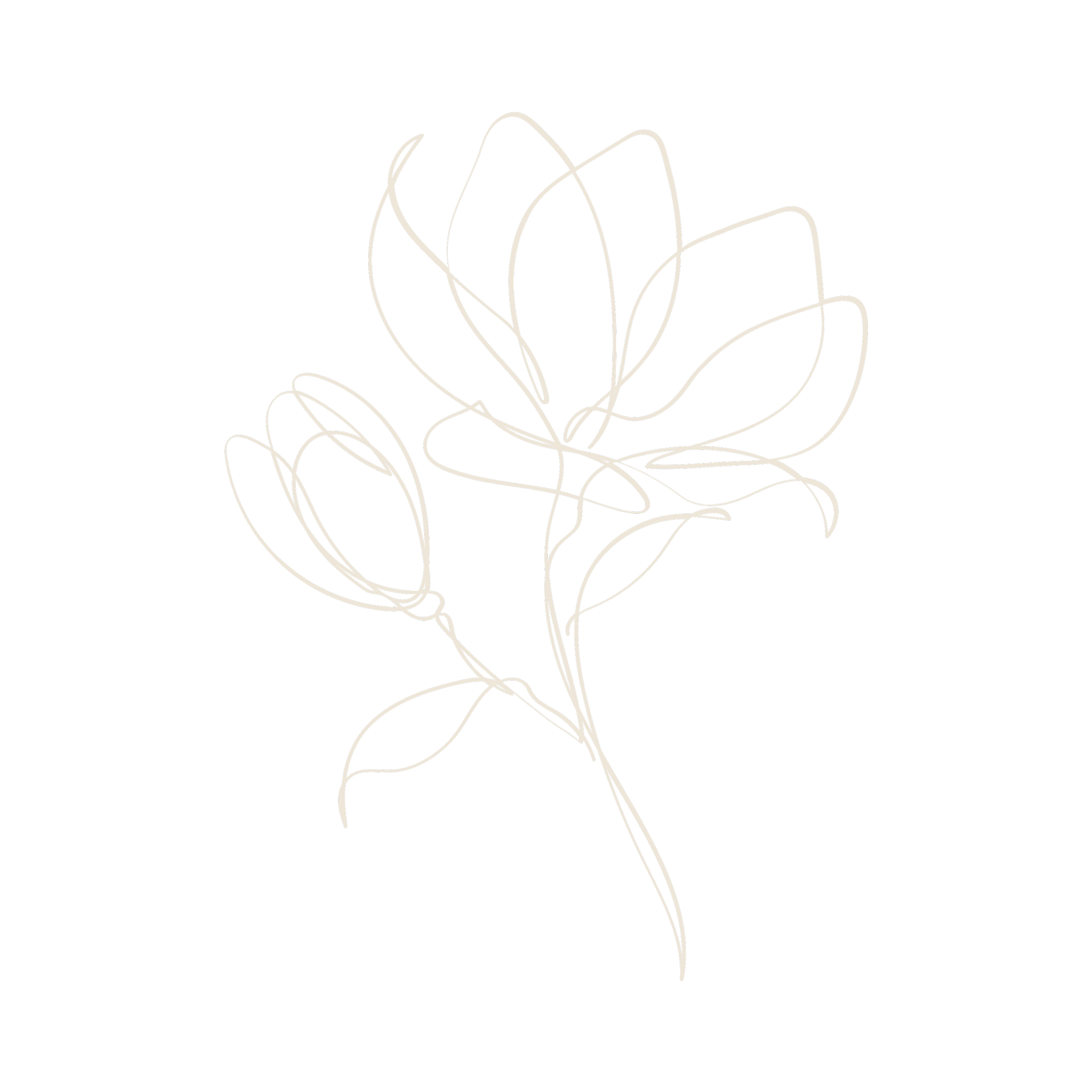 connection to nature as part of a holistic healing and embodiment practice