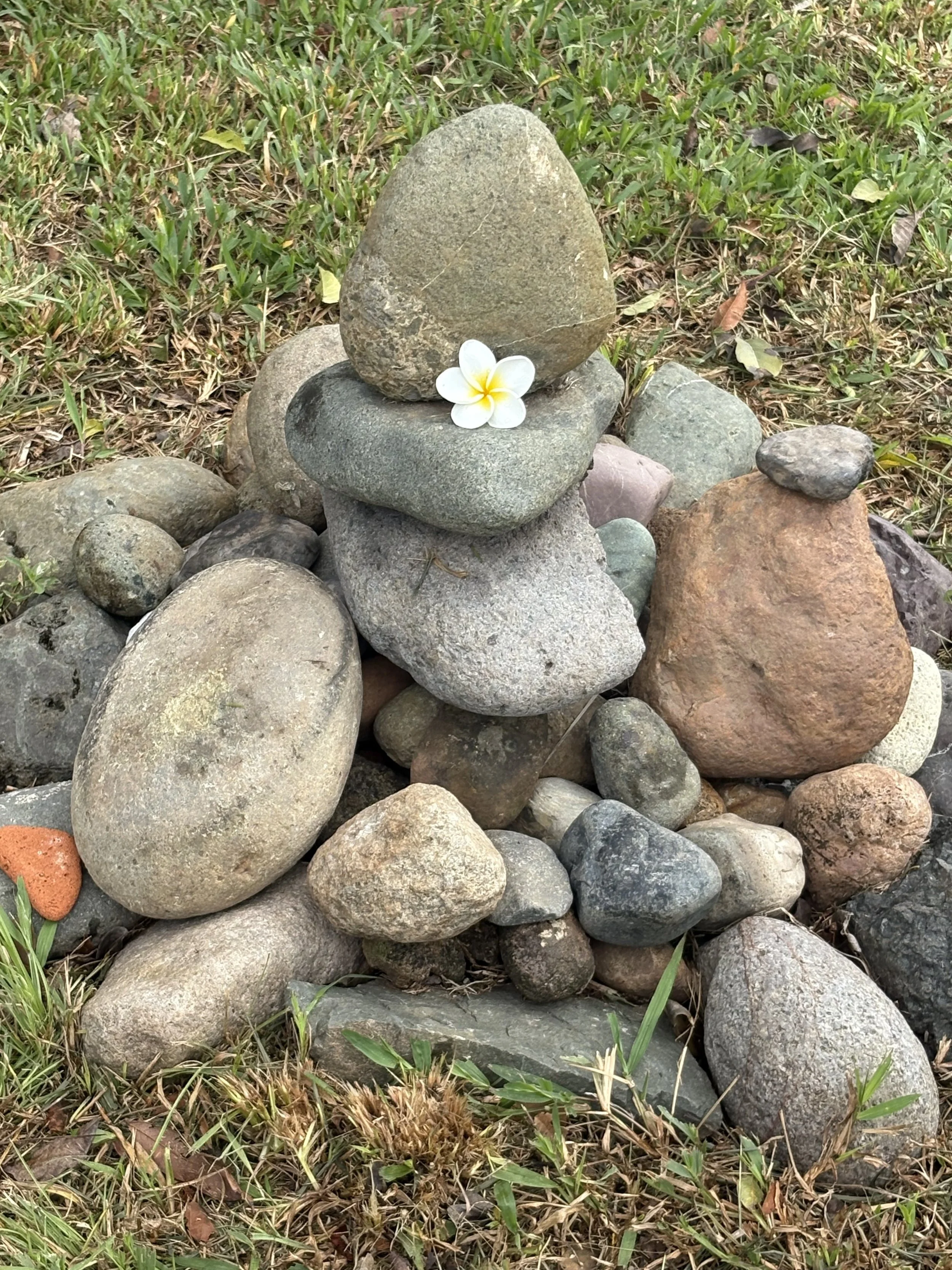 connection to nature as part of a holistic healing and embodiment practice