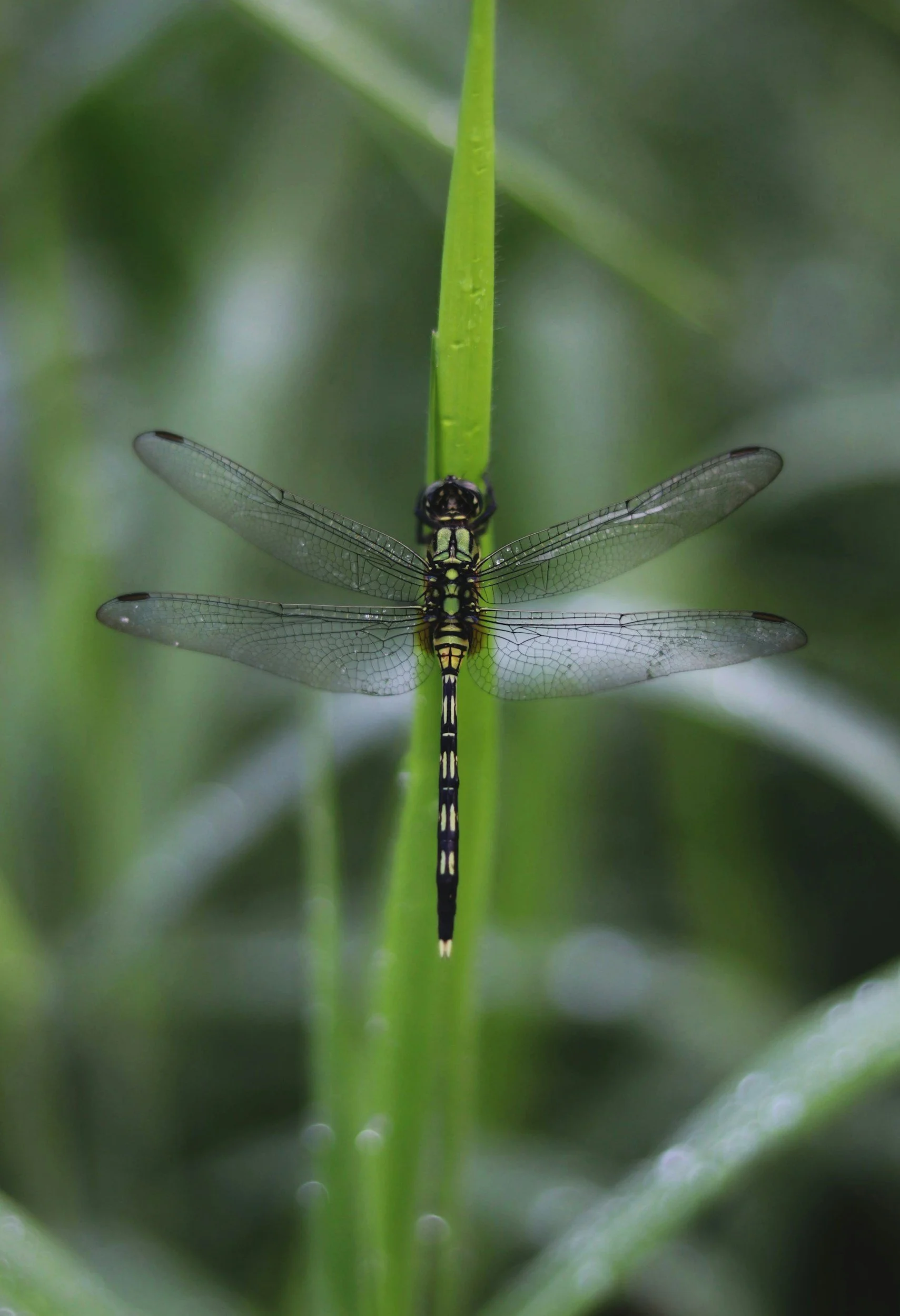 connection to nature as part of a holistic healing and embodiment practice