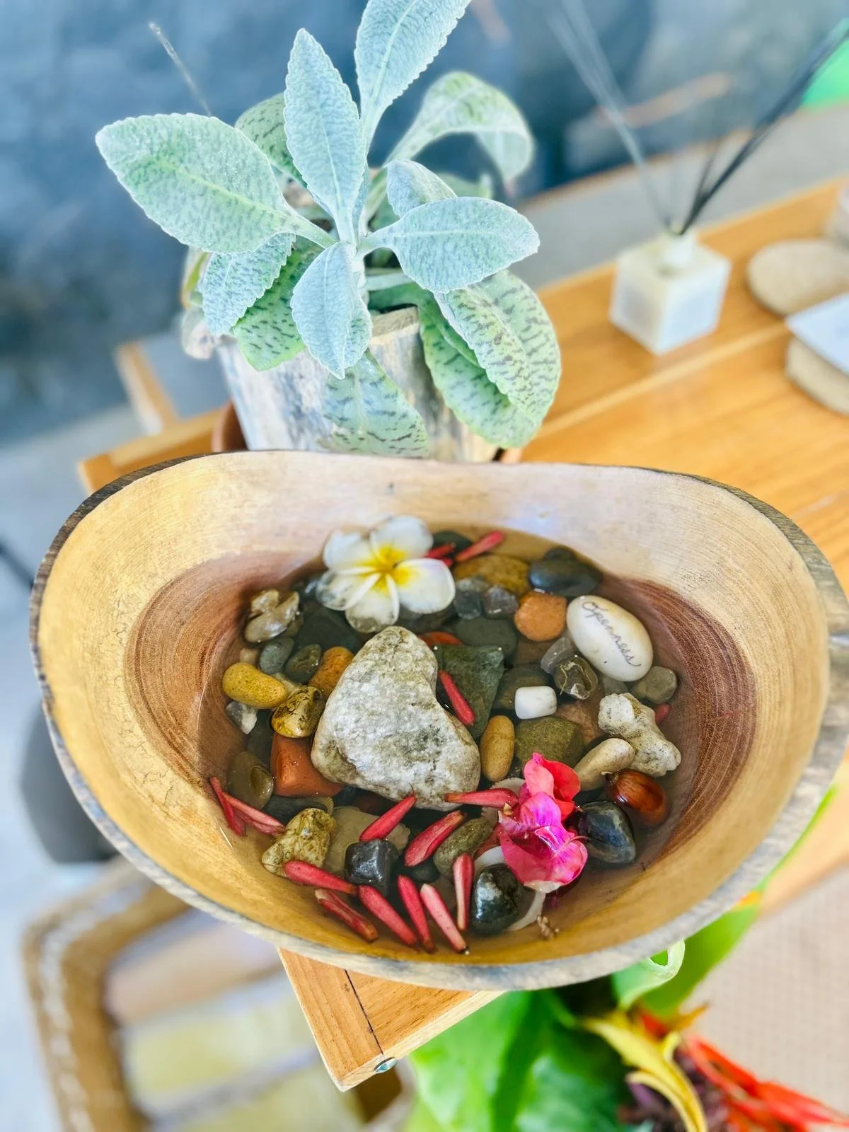 grounding natural environment supporting rest, healing, and reconnection