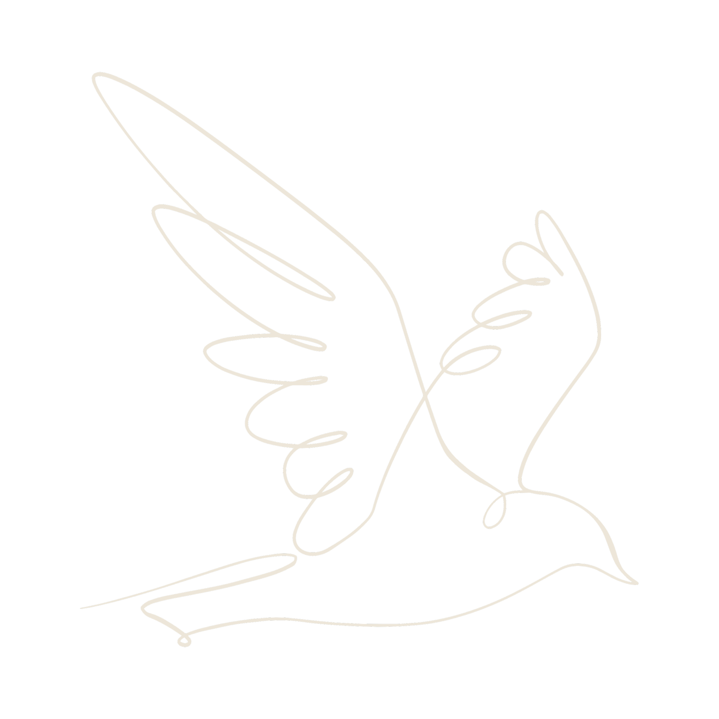 connection to nature as part of a holistic healing and embodiment practice