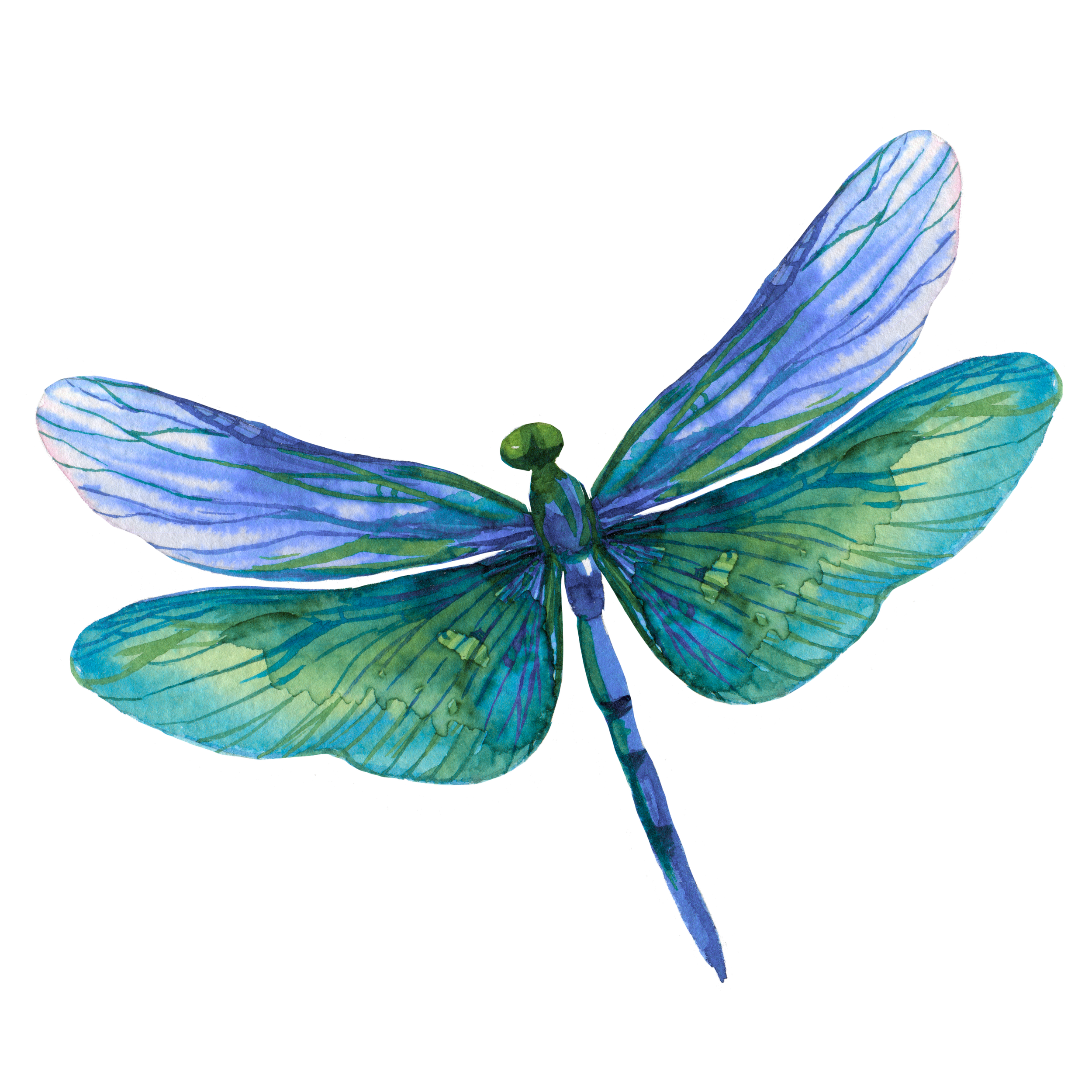 connection to nature as part of a holistic healing and embodiment practice
