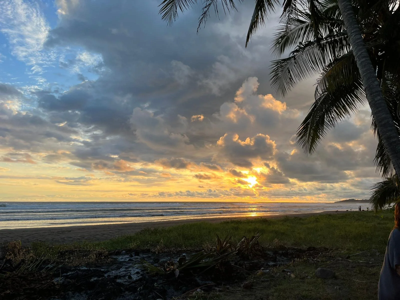 grief and love retreat held in nature for emotional healing and connection