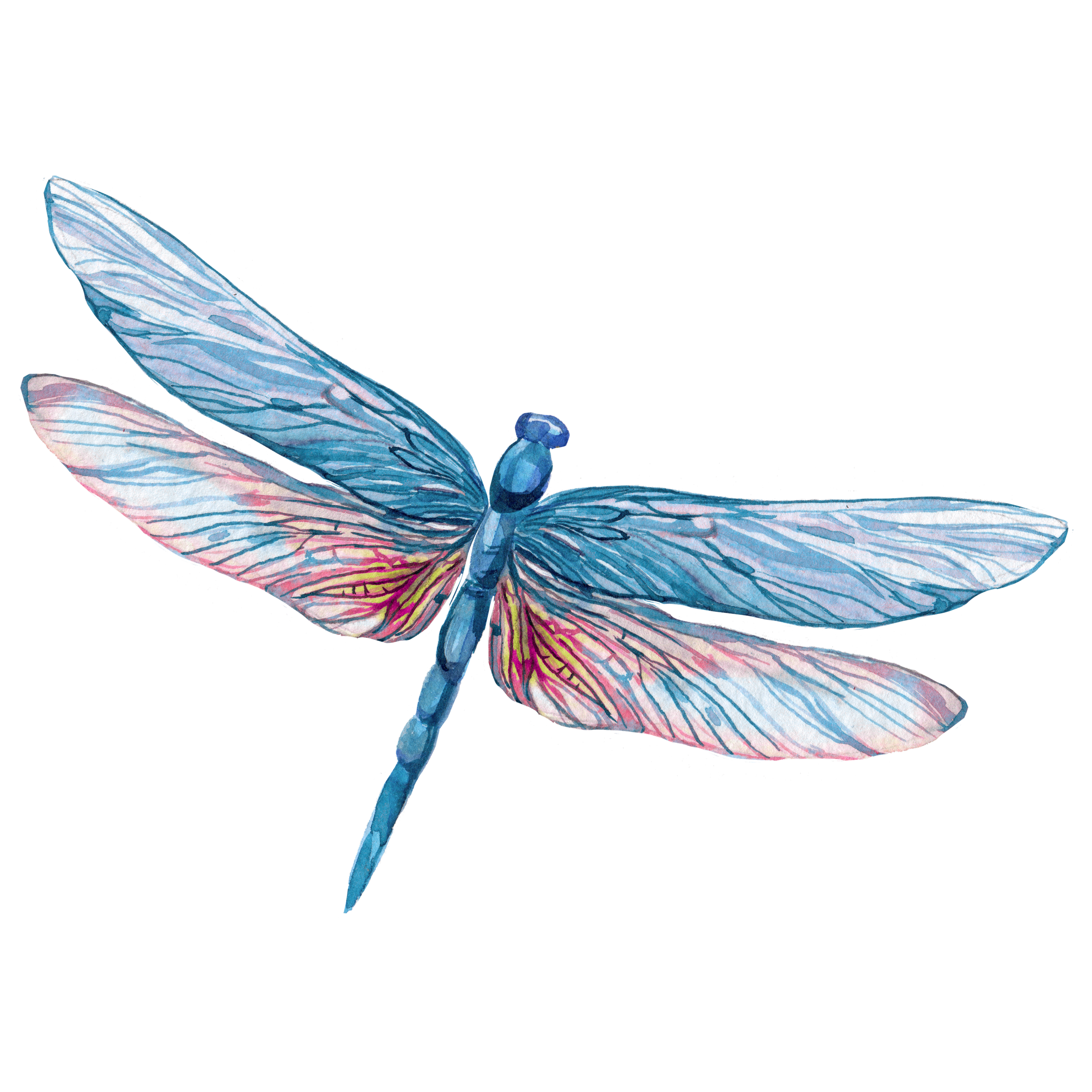 slow living ritual supporting nervous system healing and rest