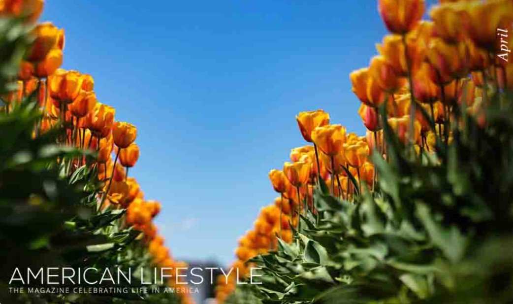 April 2022 American Lifestyle Magazine