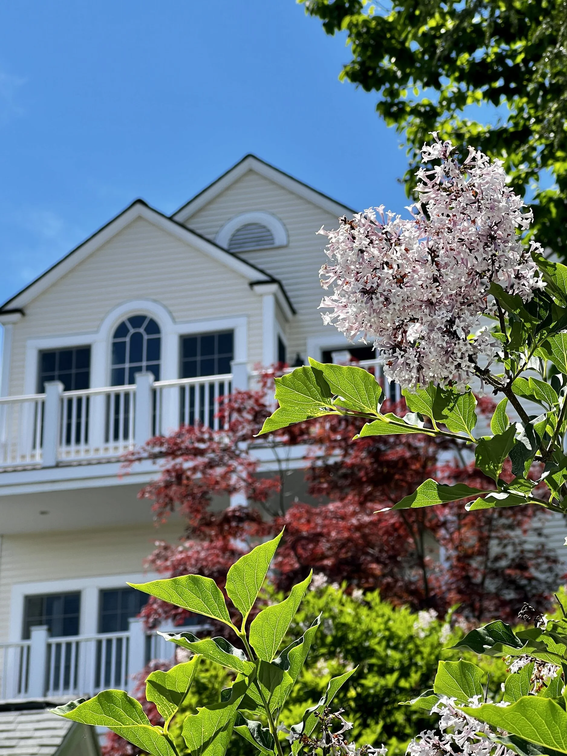 Spring into Action: Boost Your Home’s Curb Appeal with Expert Guidance