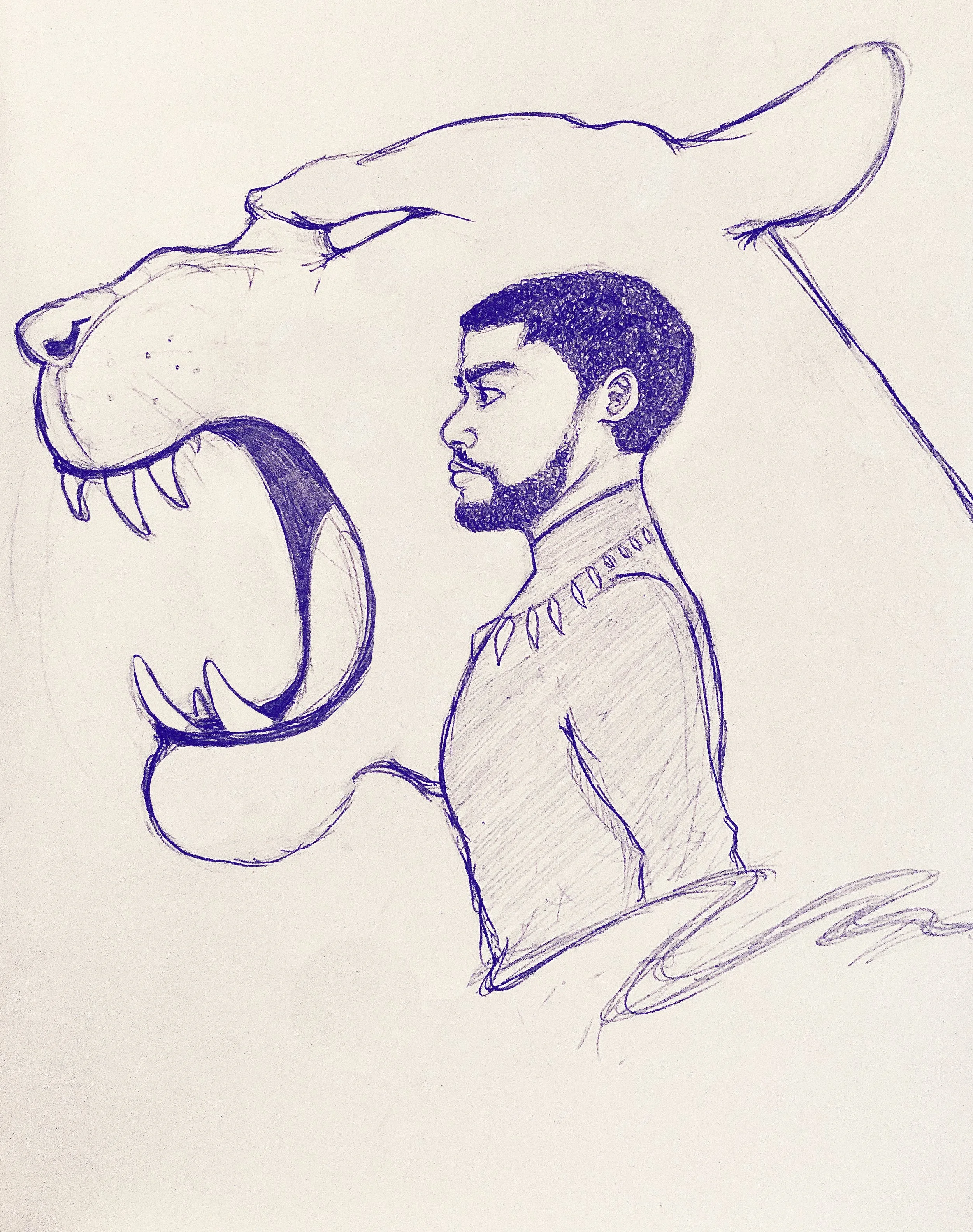 BPsketch1.jpg