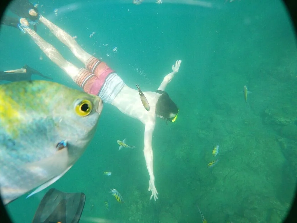Snorkeling with Yellow Fish in Quepos Costa Rica