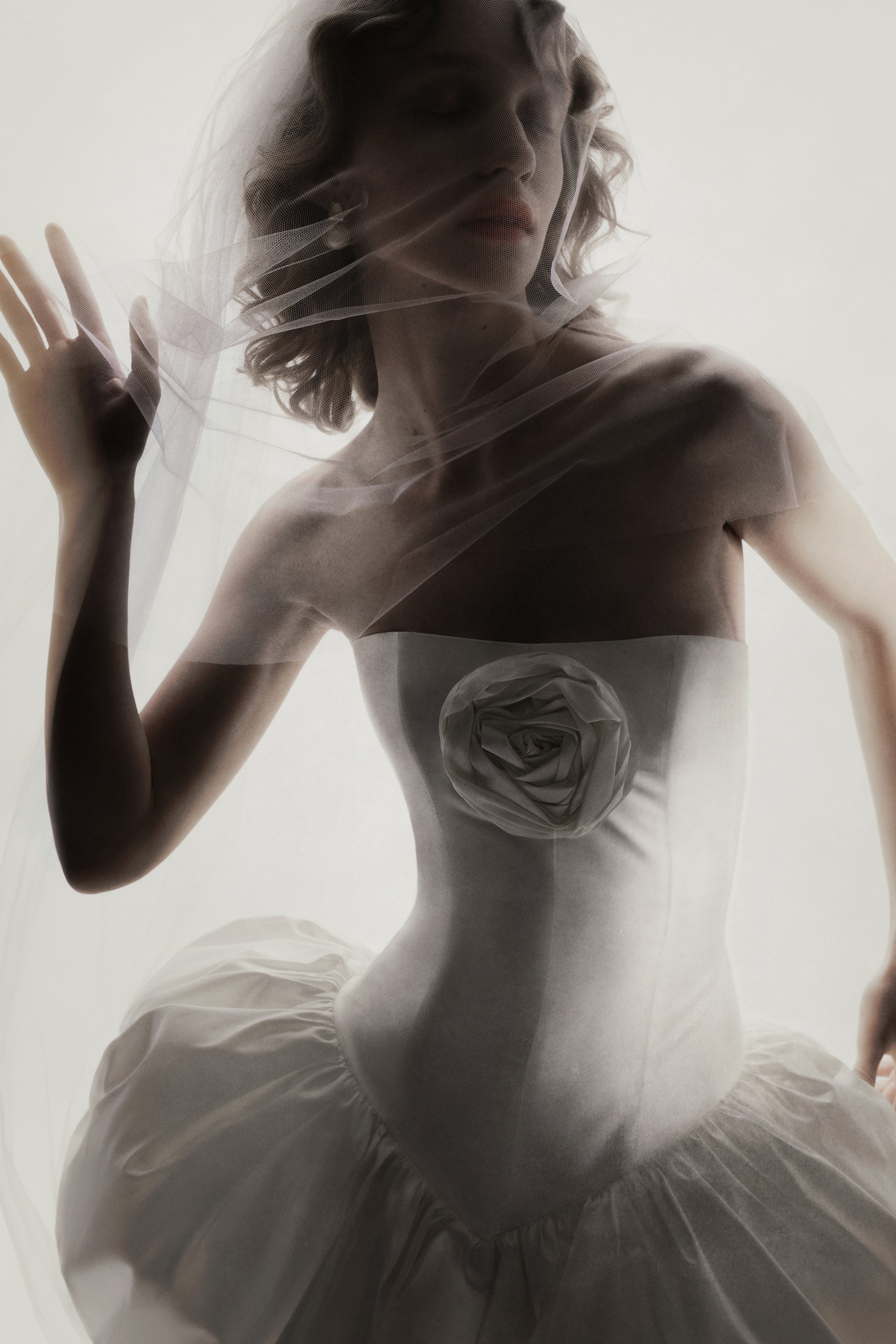 _X5A3792layer2 (2) copy.jpg