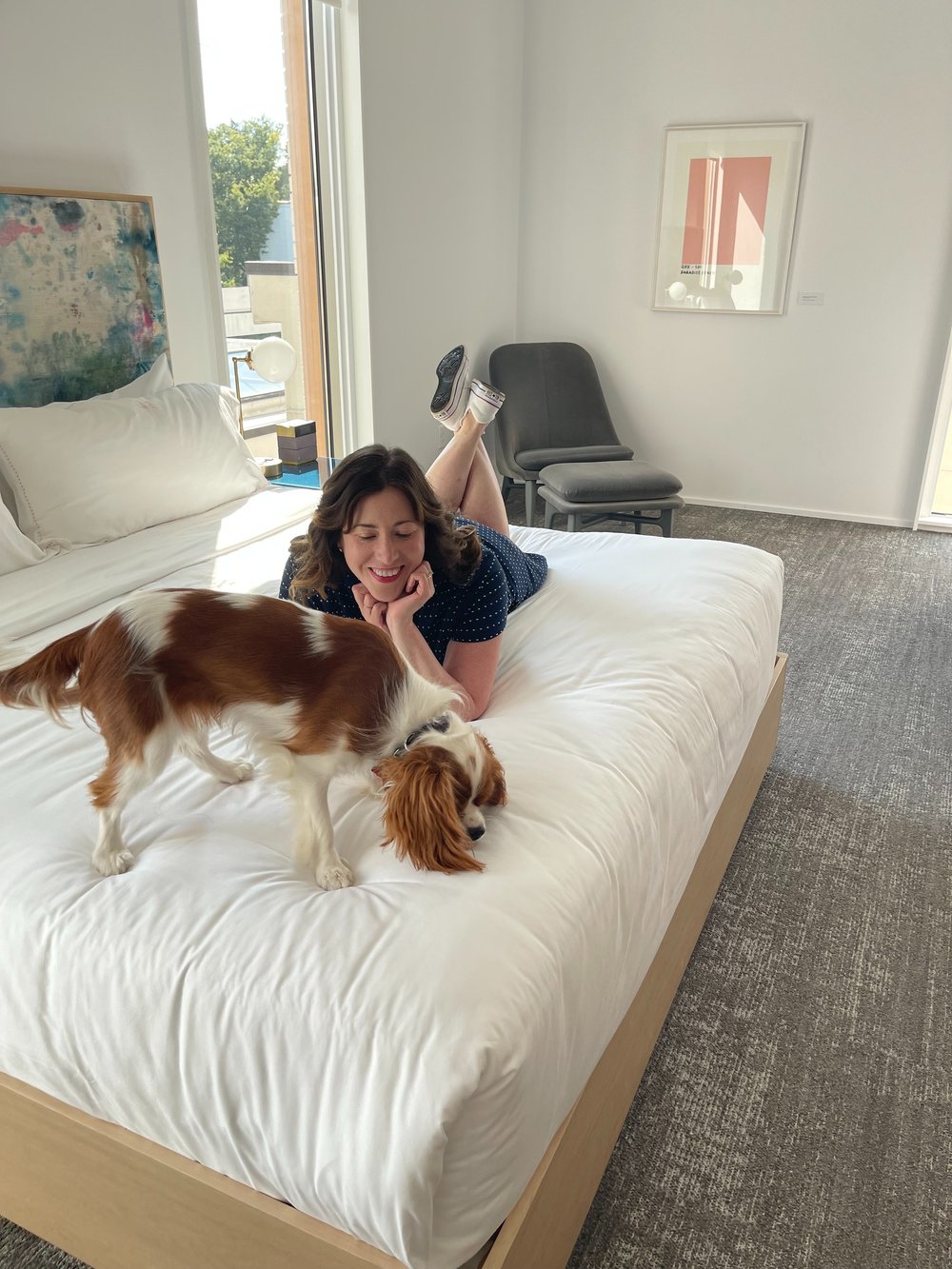 The Best Dog Friendly Staycation at Quirk Hotel Charlottesville