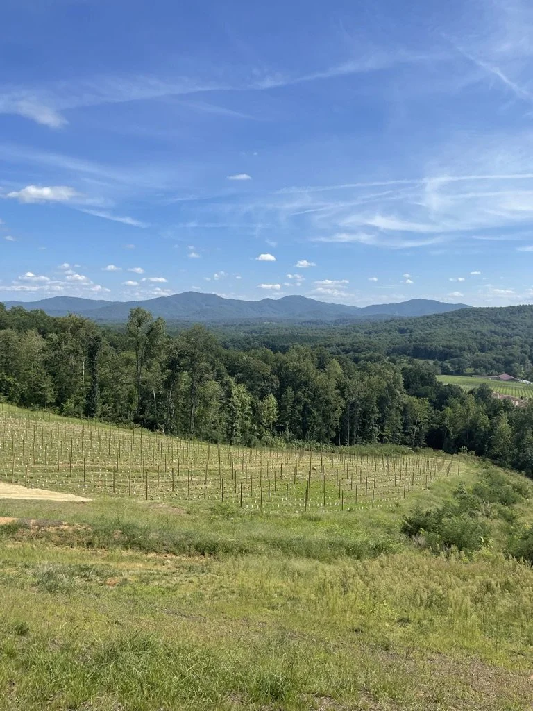 Charlottesville Winery Tours