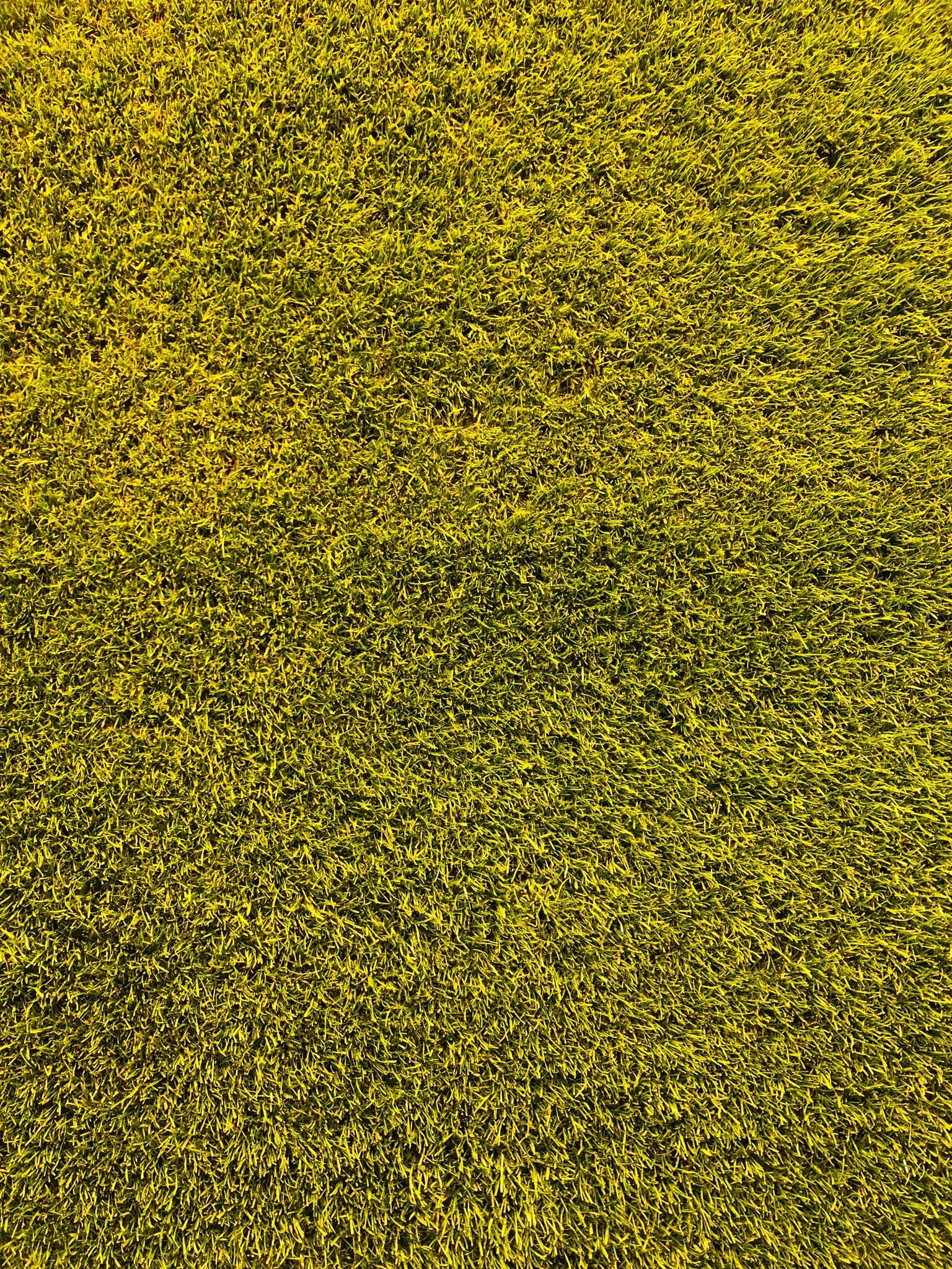 What are wetting agents?