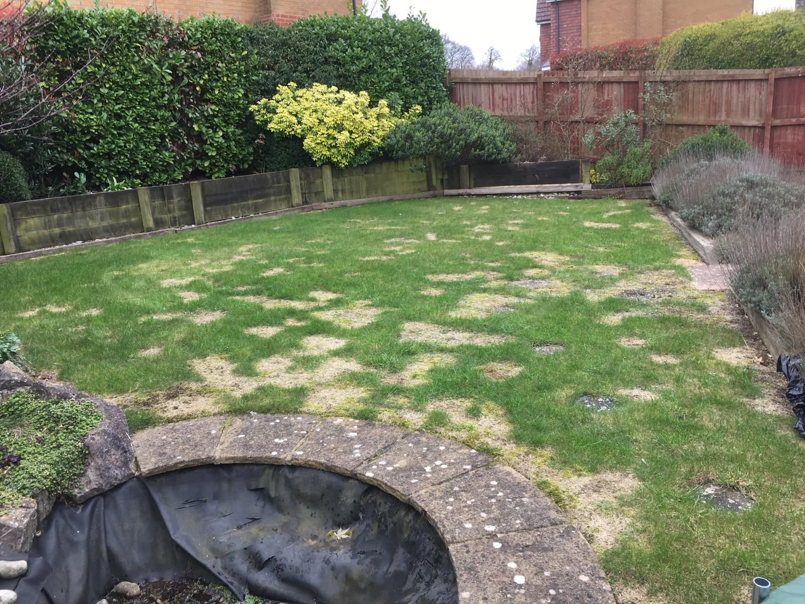 Are DIY purchased Lawn treatments any good?