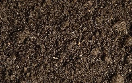 How can i look after my soil?