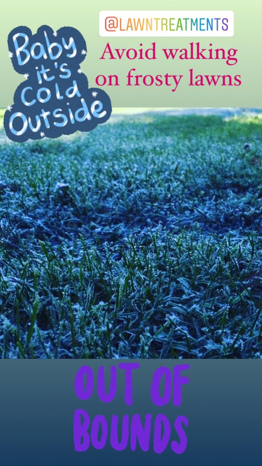 frosty lawn.jpeg