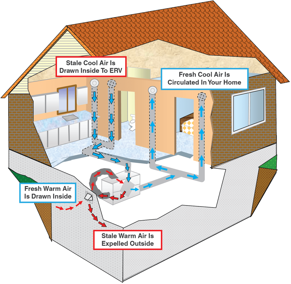 How an ERV ventilates a house: fresh outdoor air is drawn in and circulated to every room, while stale indoor air is drawn into the ERV and expelled outside