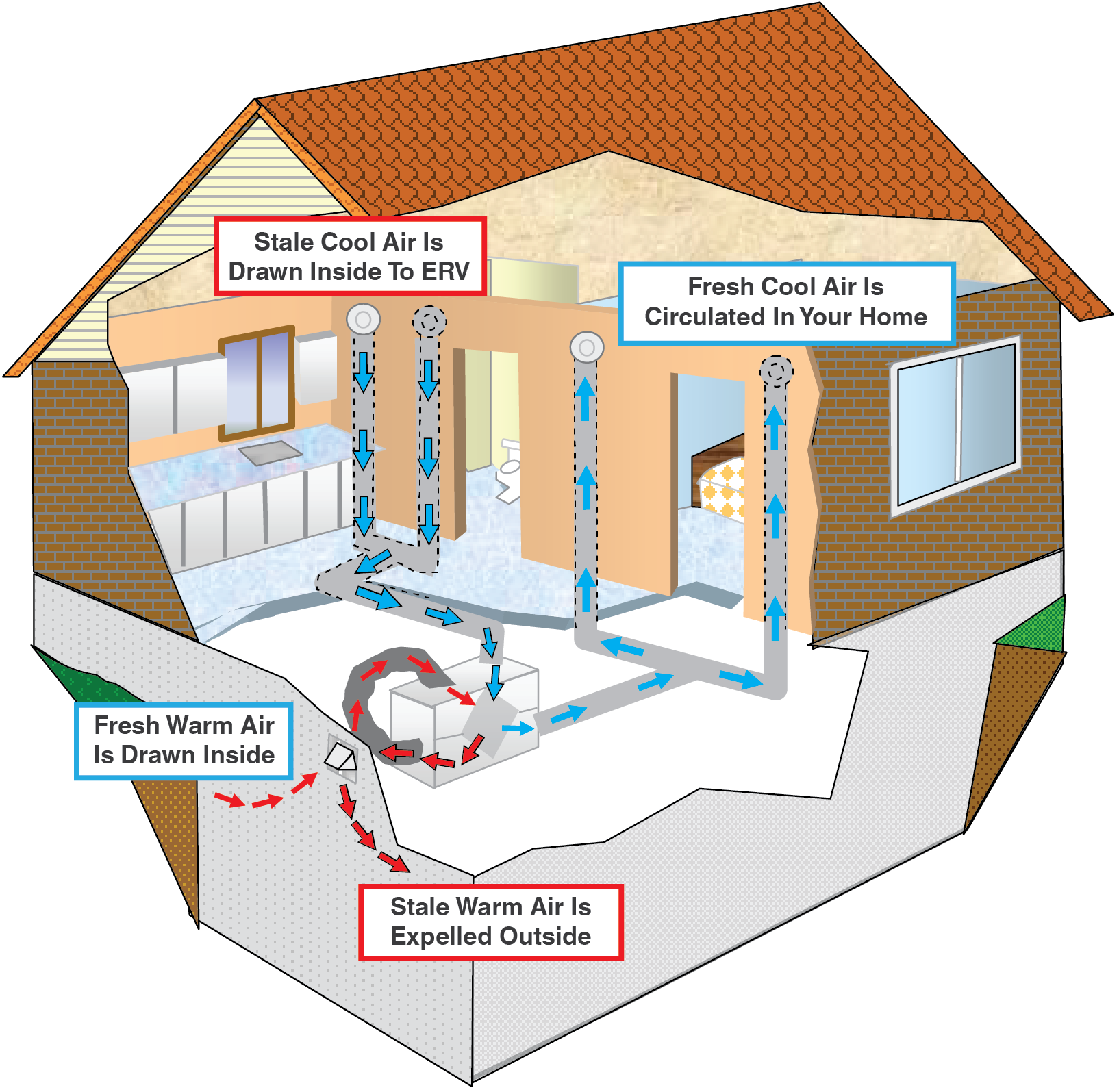 What Is Erv Ventilation at Lilian Knopwood blog