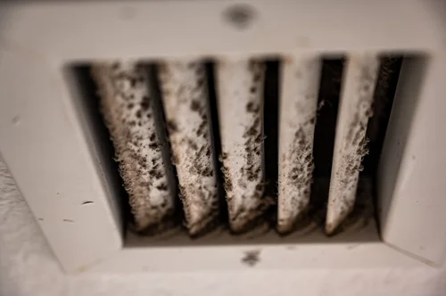 Dust and mold buildup on the louvers of a vent