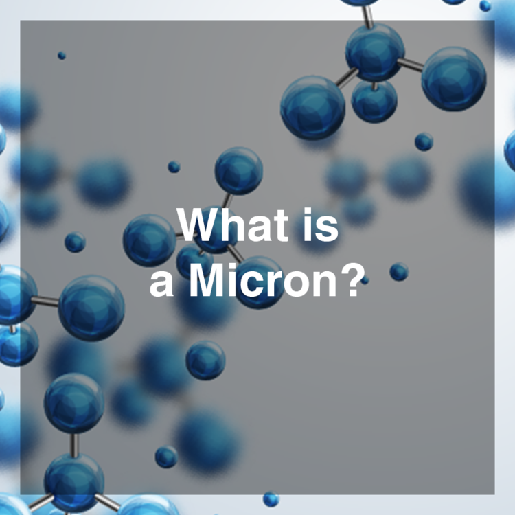 What Is a Micron: A Study of Particles w/ Free Shipping - US Home