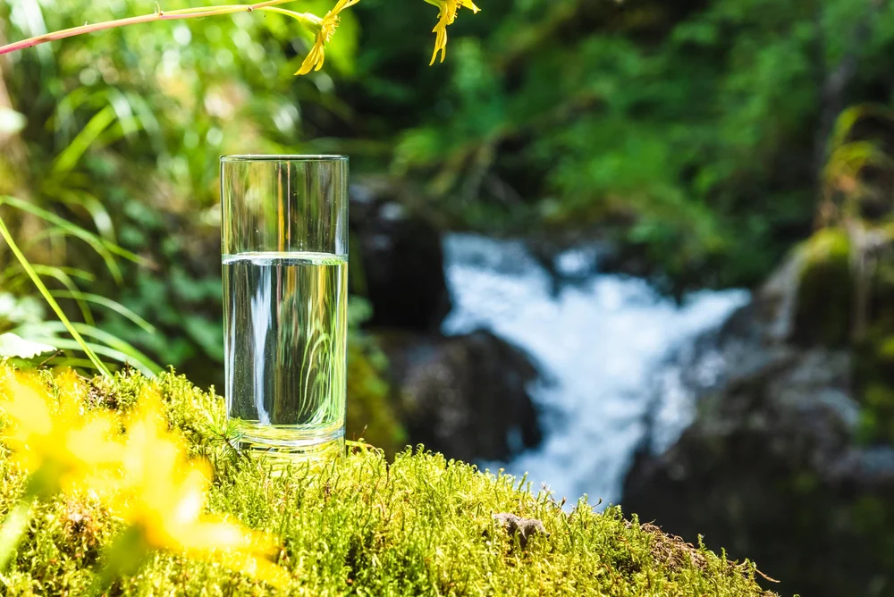 A glass of clear water standing on green moss beside a forest waterfall