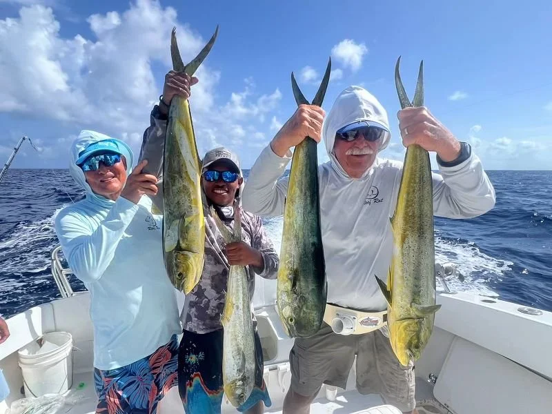 Two guests and a local guide on a boat in San Pedro Belize holding up large mahi mahi fish caught during a deep sea fishing excursion.