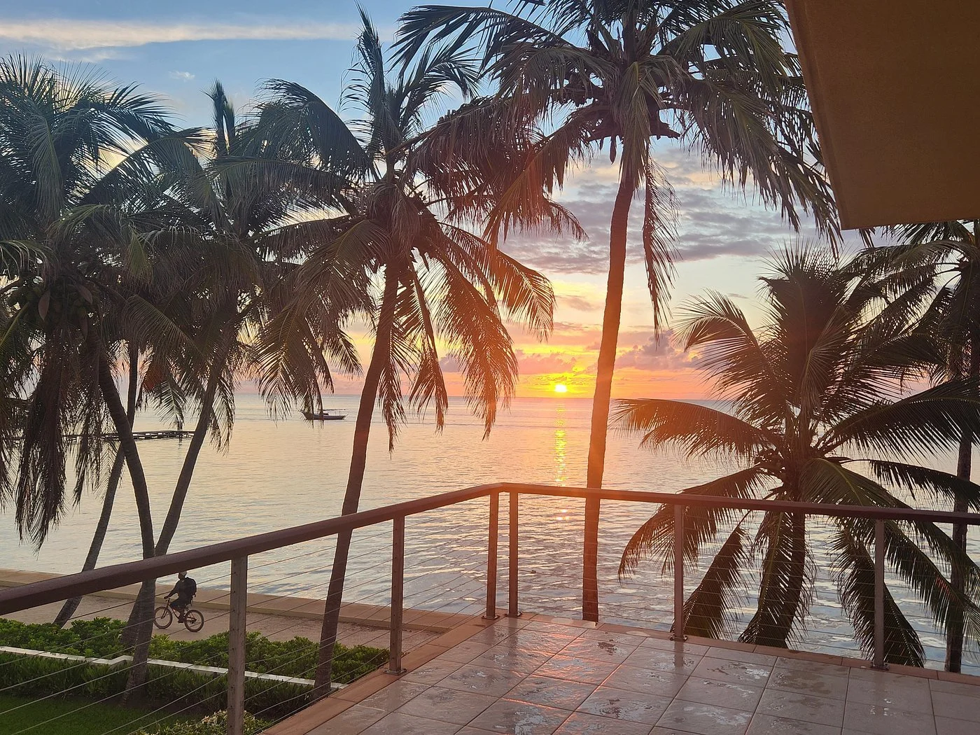 Oceanfront balcony view at sunset from The Phoenix Resort in San Pedro, Belize, looking out over palm trees and the Caribbean Sea.