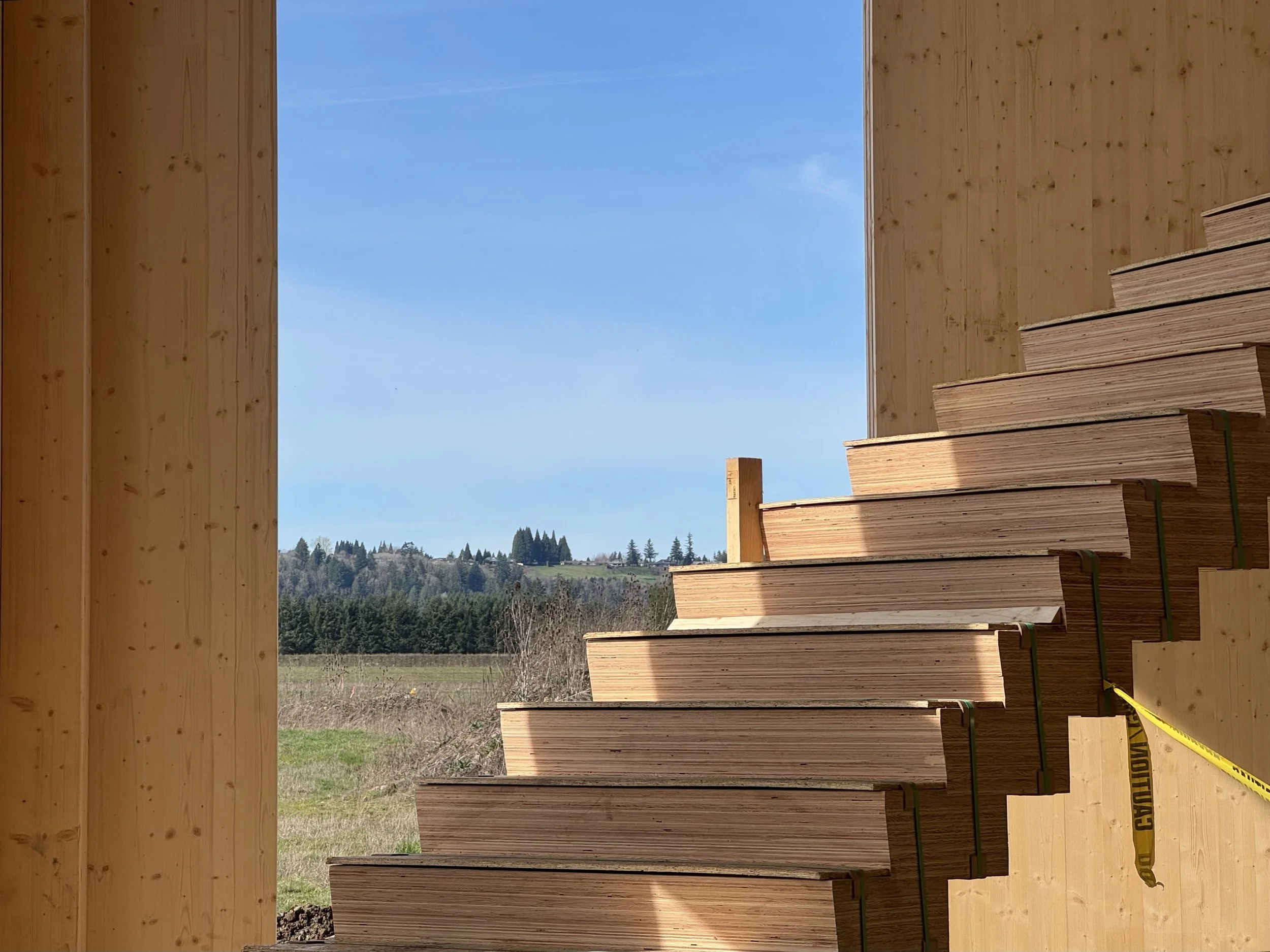 Forest For the Trees