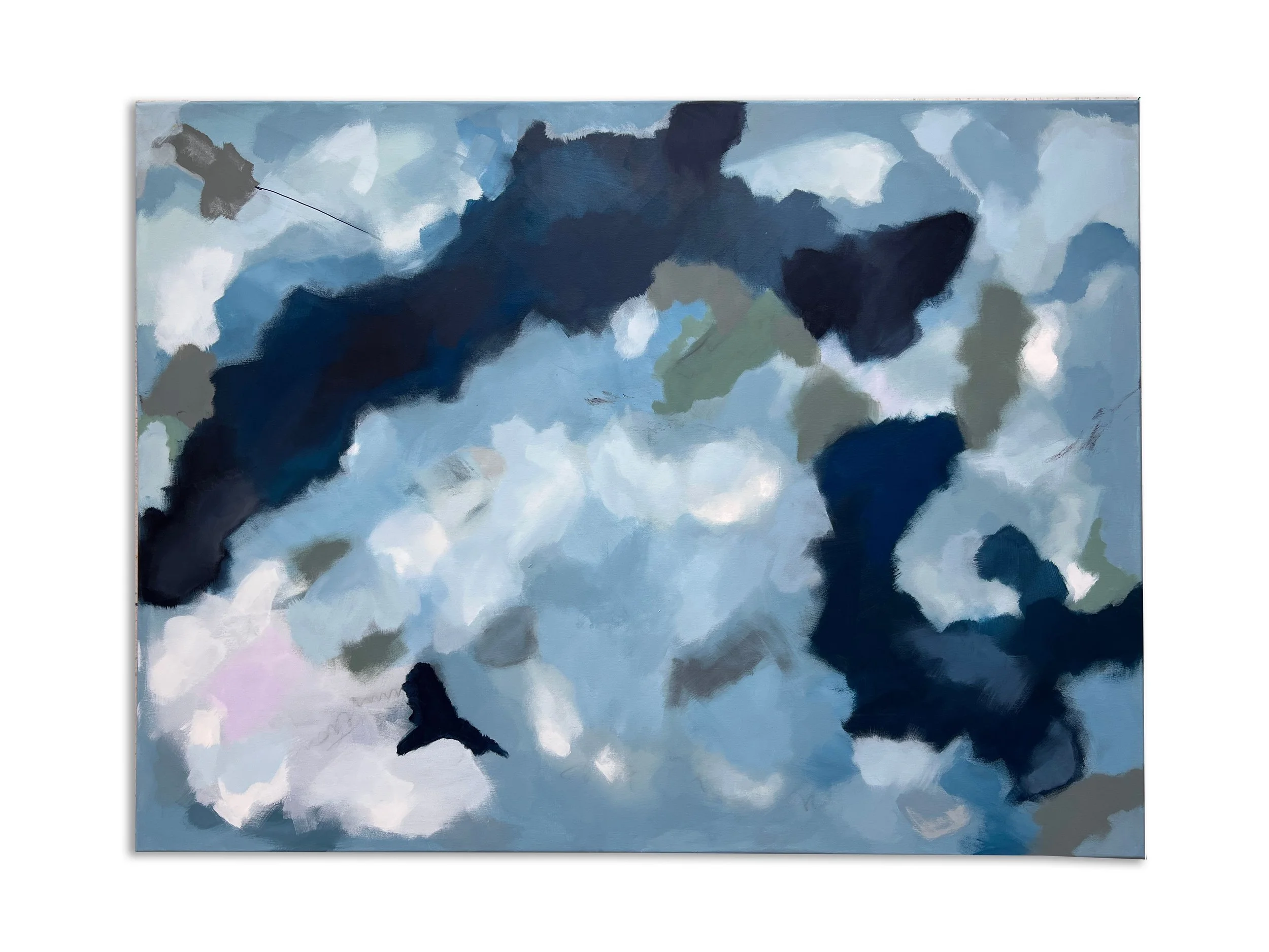 STUDIED SKY