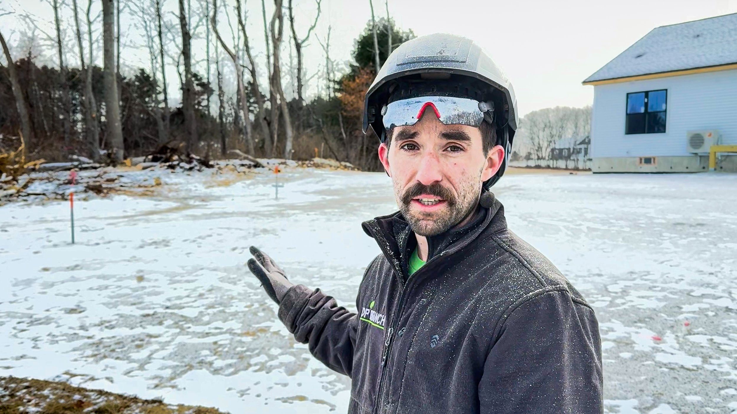 Why TREE WORK Should Be Done in the WINTER