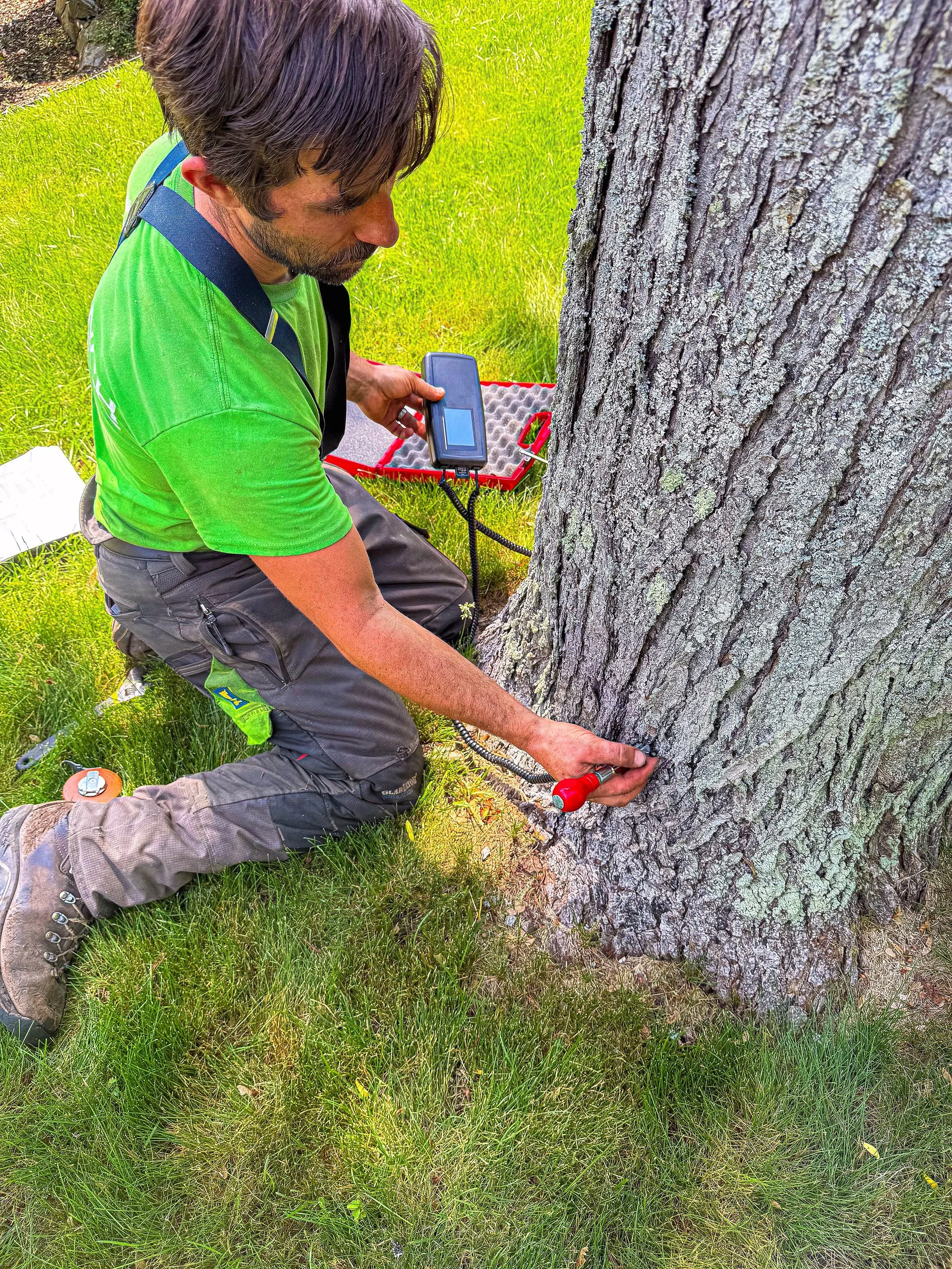 A man kneeling on grass, holding a device against the base of a tree for tree health or root examination, with equipment nearby.