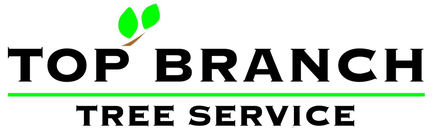 TOP BRANCH TREE SERVICE