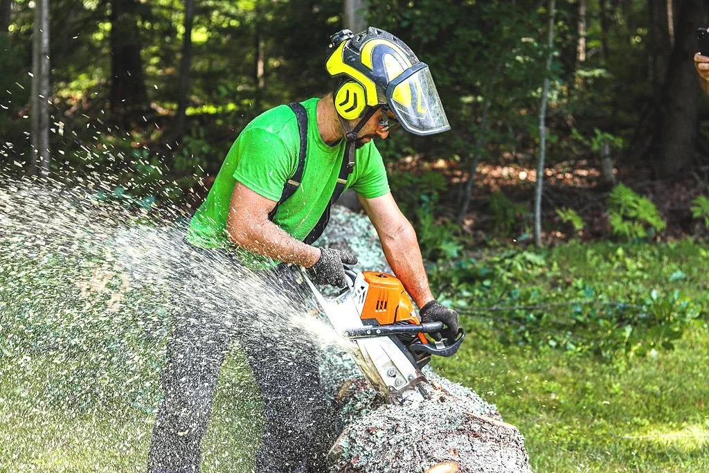 Why is Top Branch Tree Service the Best Tree Service in Maine?