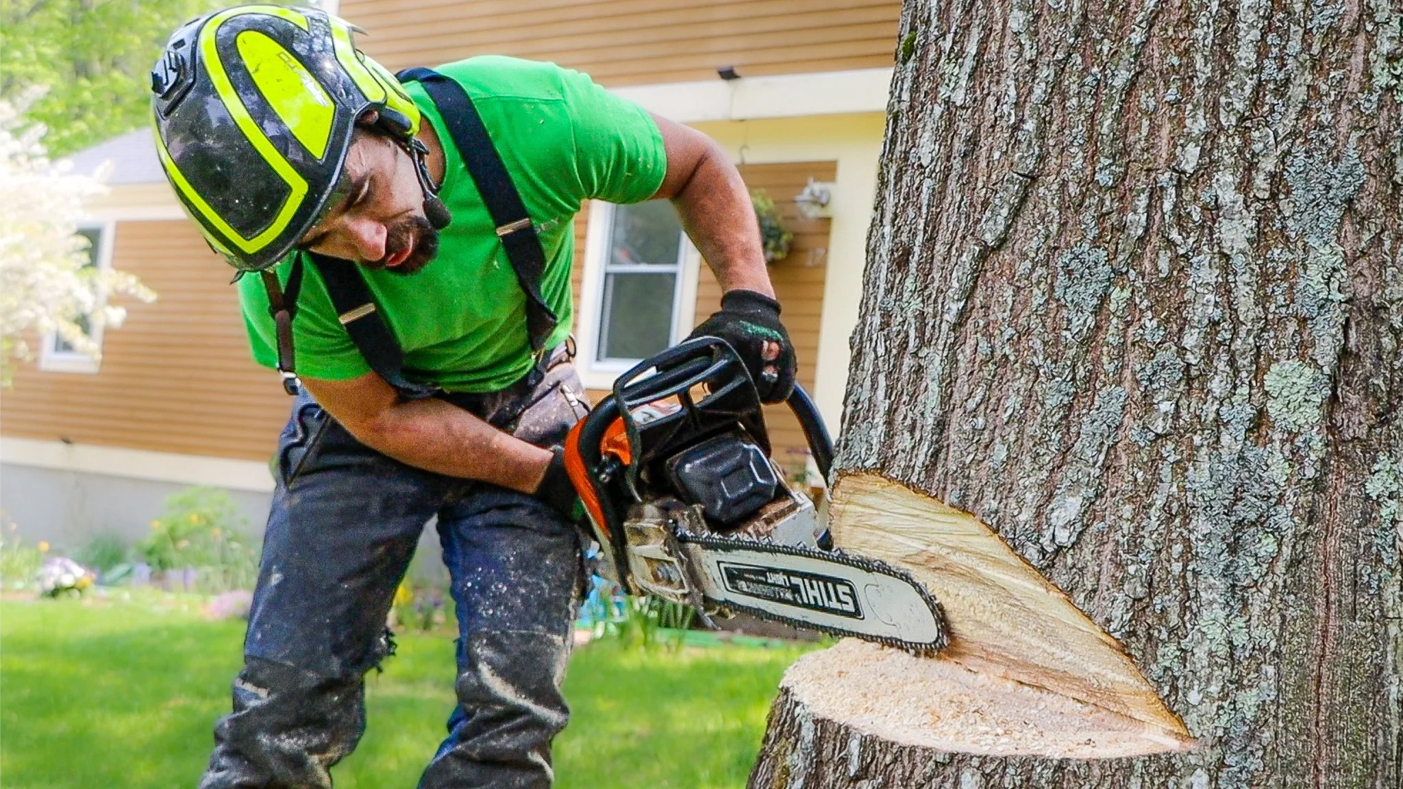 A man in a green shirt carrying a helmet and gloves is using a chainsaw to cut a thick tree trunk in a backyard.