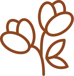 woven laurel illustration