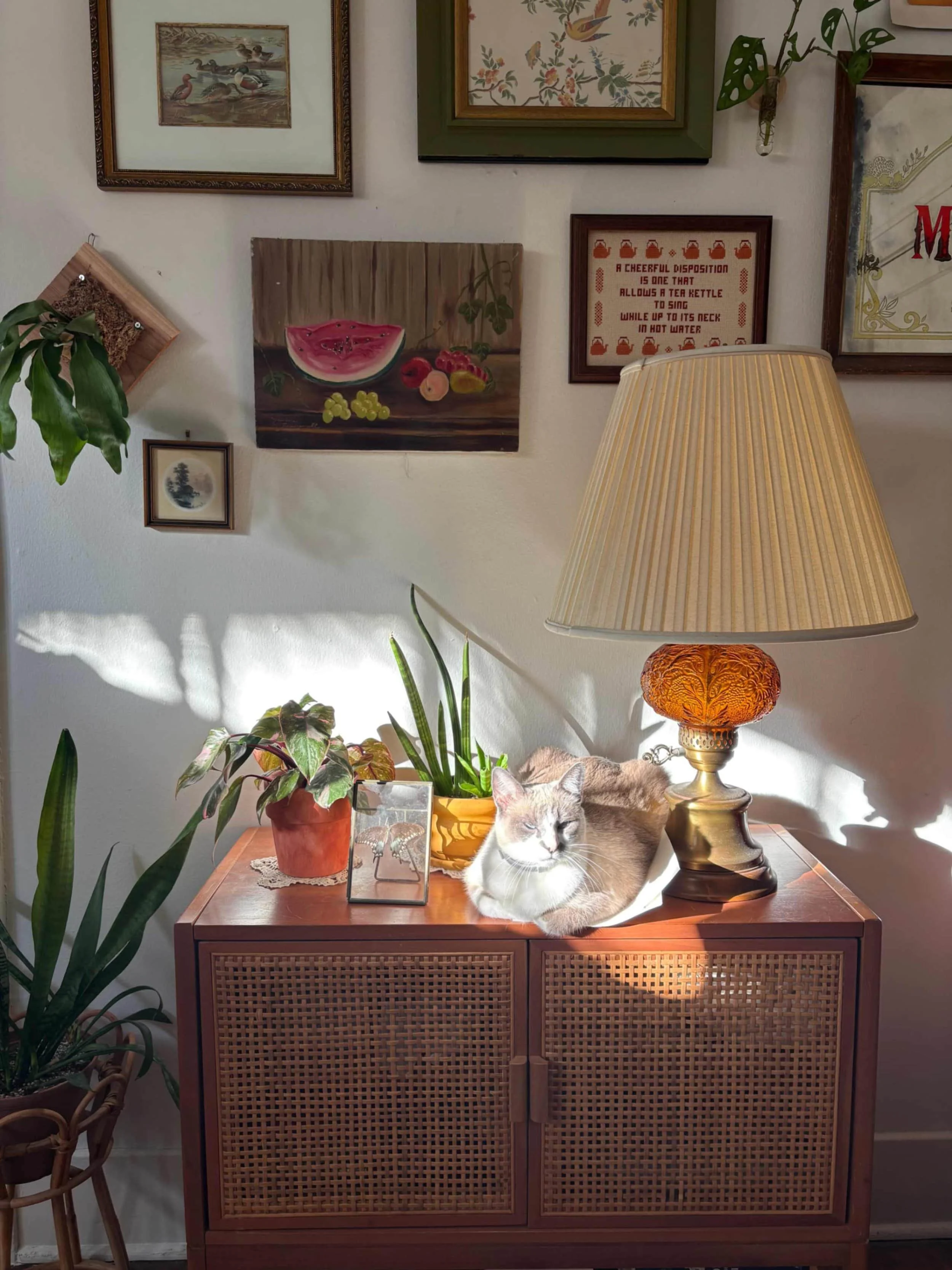 aesthetic graphic design studio