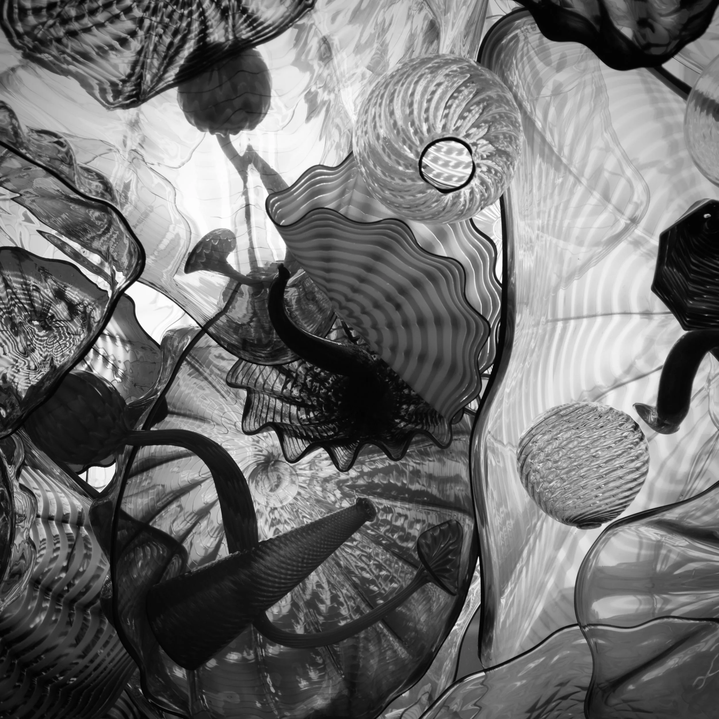 DSC_1927.jpeg