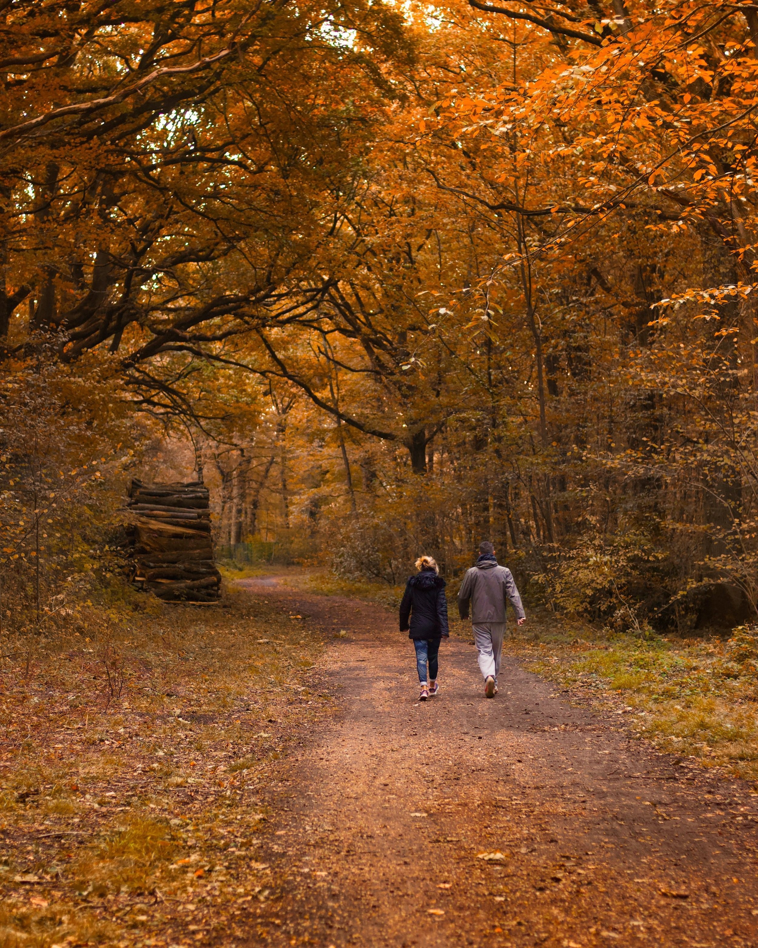A Case for More “Walk and Talk” meetings!