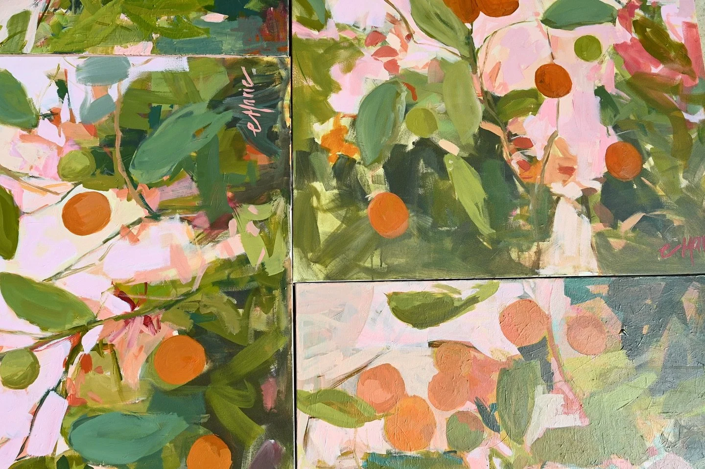 Colors of the citrus collection 🍊💚💗