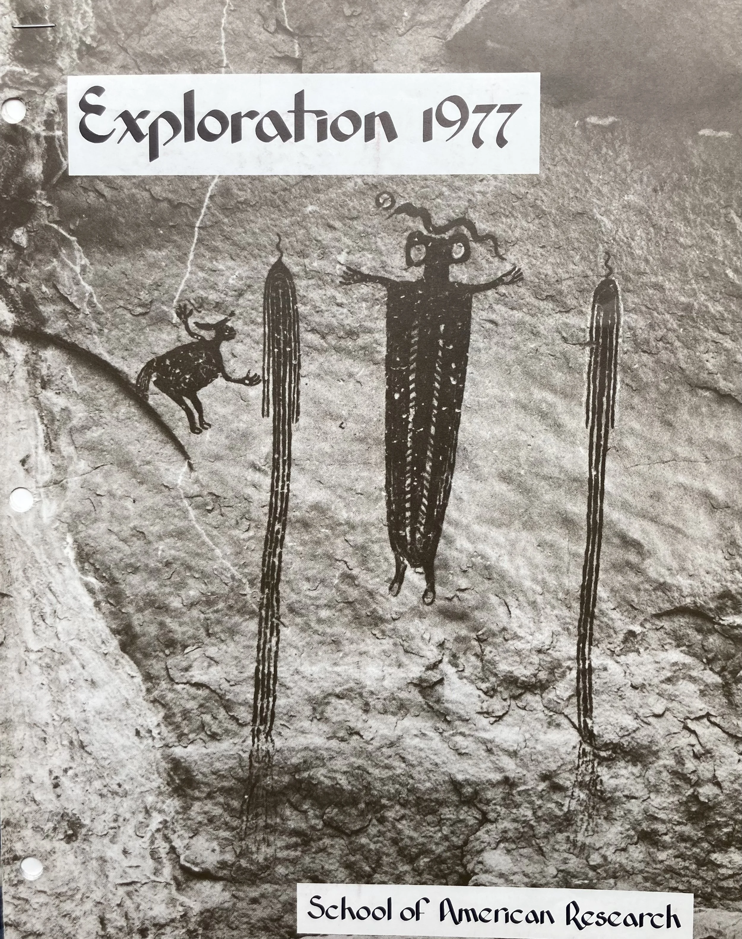 SAR.jpg