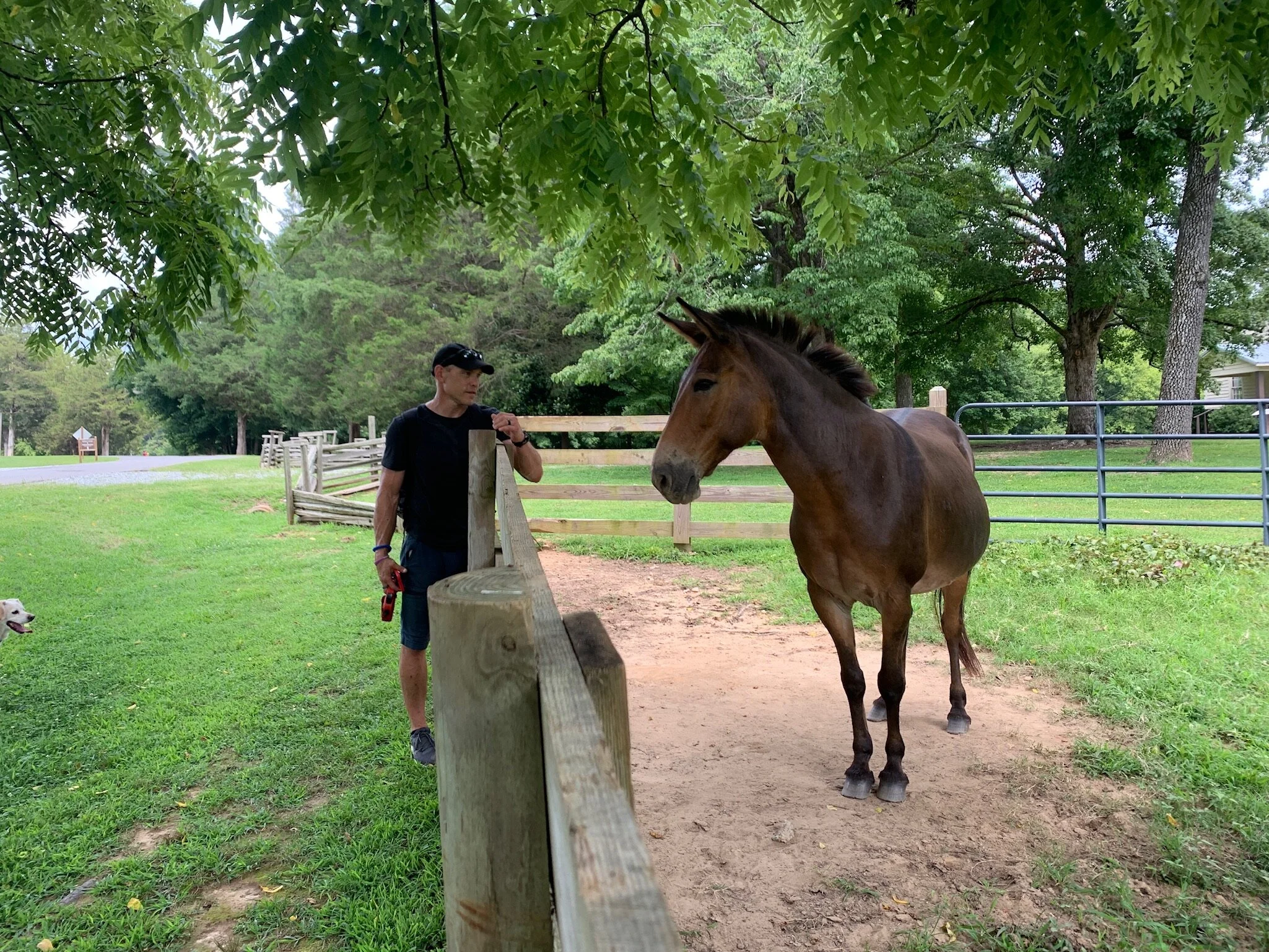 chris and horse.jpg