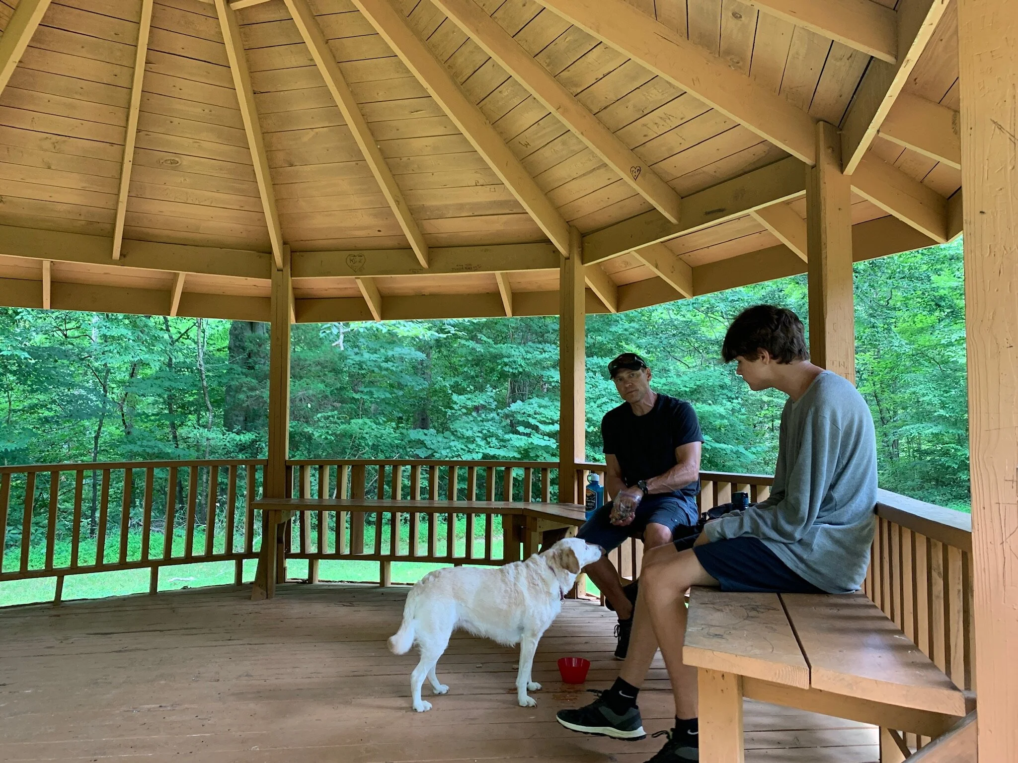 Chris alex elmos gazebo.JPG